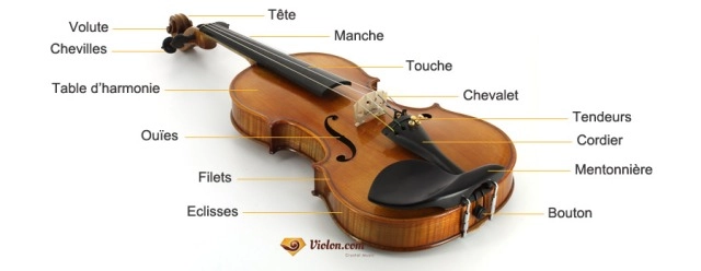 schema-violin
